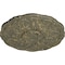 Ekena Millwork Cornelia Ceiling Medallion (Fits Canopies up to 4"), 22 1/2"OD x 1 1/2"P, Witch Hazel Crackle CM22CNWHC - alternate 2